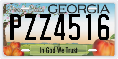 GA license plate PZZ4516