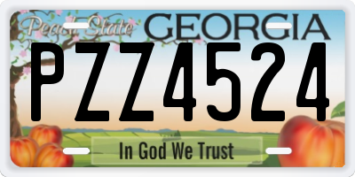 GA license plate PZZ4524