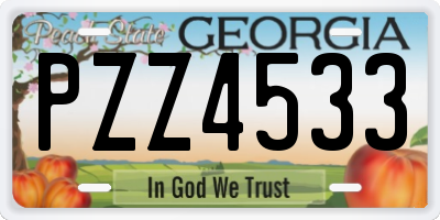 GA license plate PZZ4533