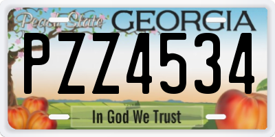 GA license plate PZZ4534
