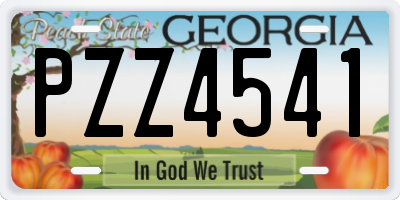 GA license plate PZZ4541