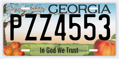 GA license plate PZZ4553