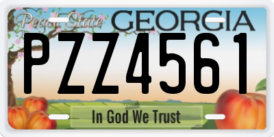 GA license plate PZZ4561