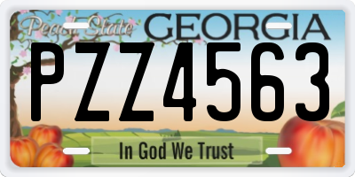 GA license plate PZZ4563