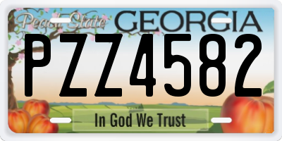 GA license plate PZZ4582