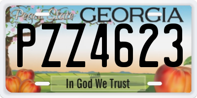 GA license plate PZZ4623