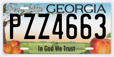 GA license plate PZZ4663