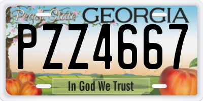 GA license plate PZZ4667