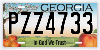 GA license plate PZZ4733