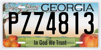 GA license plate PZZ4813