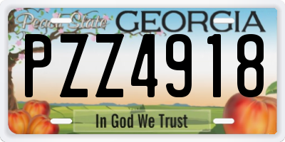 GA license plate PZZ4918