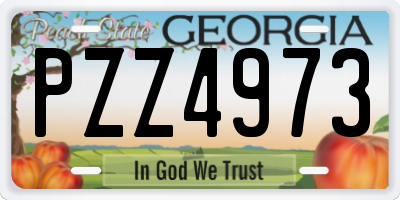 GA license plate PZZ4973