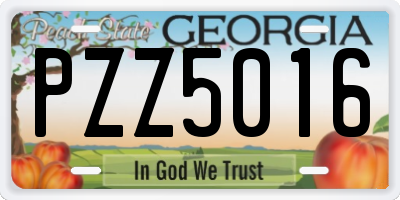 GA license plate PZZ5016