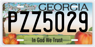 GA license plate PZZ5029