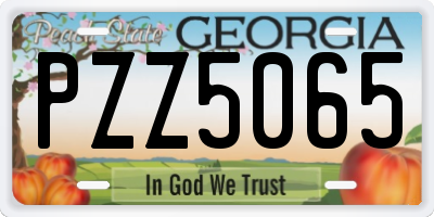 GA license plate PZZ5065