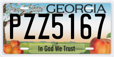 GA license plate PZZ5167