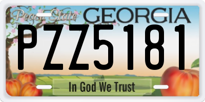 GA license plate PZZ5181