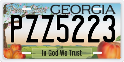 GA license plate PZZ5223