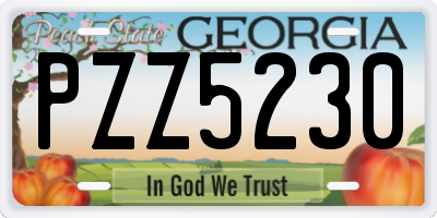 GA license plate PZZ5230