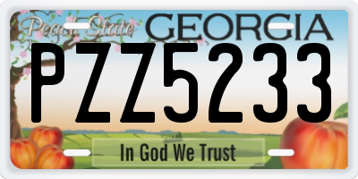 GA license plate PZZ5233