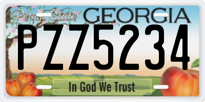 GA license plate PZZ5234