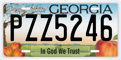 GA license plate PZZ5246