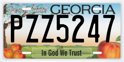 GA license plate PZZ5247