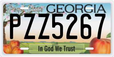 GA license plate PZZ5267