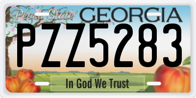 GA license plate PZZ5283