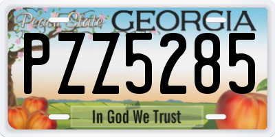 GA license plate PZZ5285