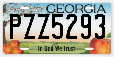GA license plate PZZ5293