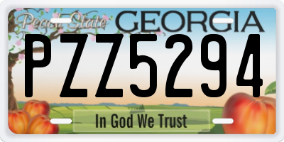 GA license plate PZZ5294
