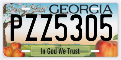 GA license plate PZZ5305