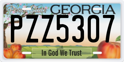 GA license plate PZZ5307