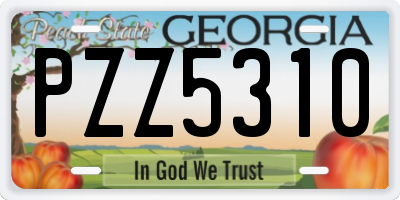 GA license plate PZZ5310