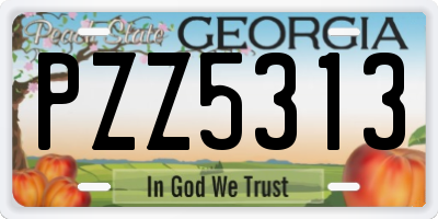 GA license plate PZZ5313