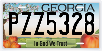 GA license plate PZZ5328