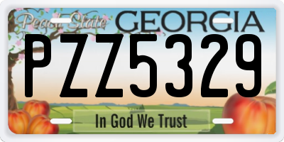 GA license plate PZZ5329