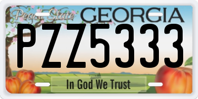 GA license plate PZZ5333