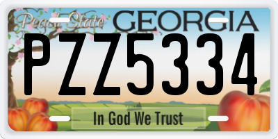 GA license plate PZZ5334