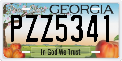 GA license plate PZZ5341