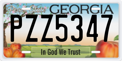 GA license plate PZZ5347