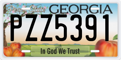 GA license plate PZZ5391