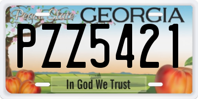 GA license plate PZZ5421
