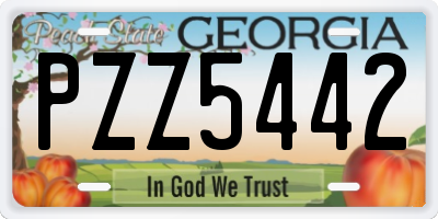 GA license plate PZZ5442