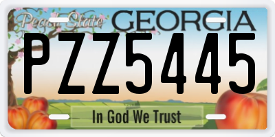 GA license plate PZZ5445