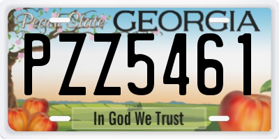 GA license plate PZZ5461