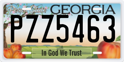 GA license plate PZZ5463