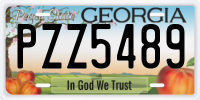 GA license plate PZZ5489