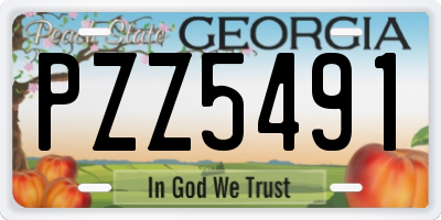 GA license plate PZZ5491